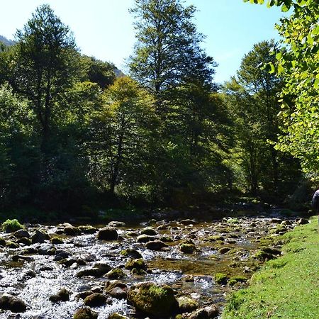 Gites Communaux A Lourdios Exteriér fotografie