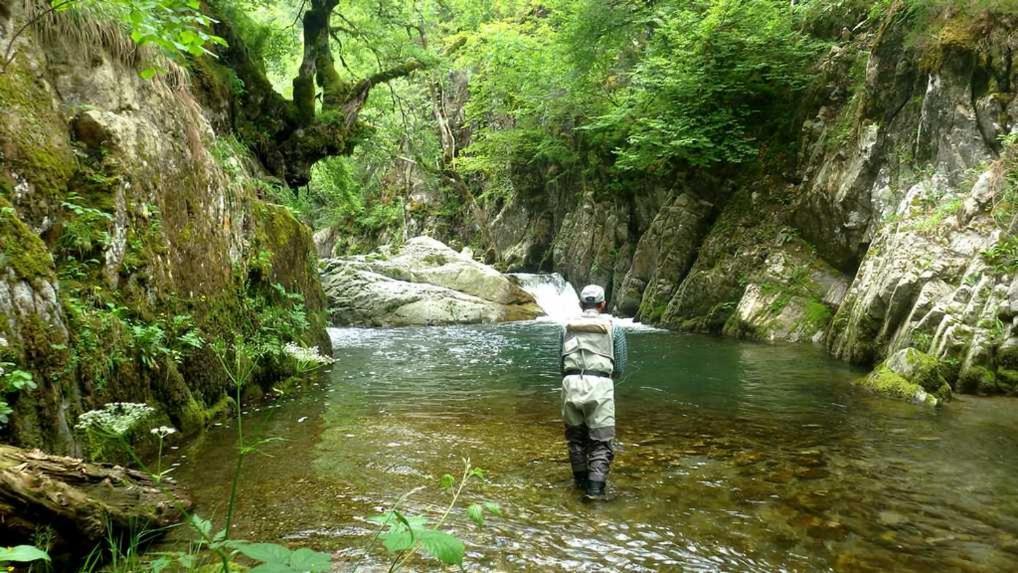 Gites Communaux A Lourdios Exteriér fotografie