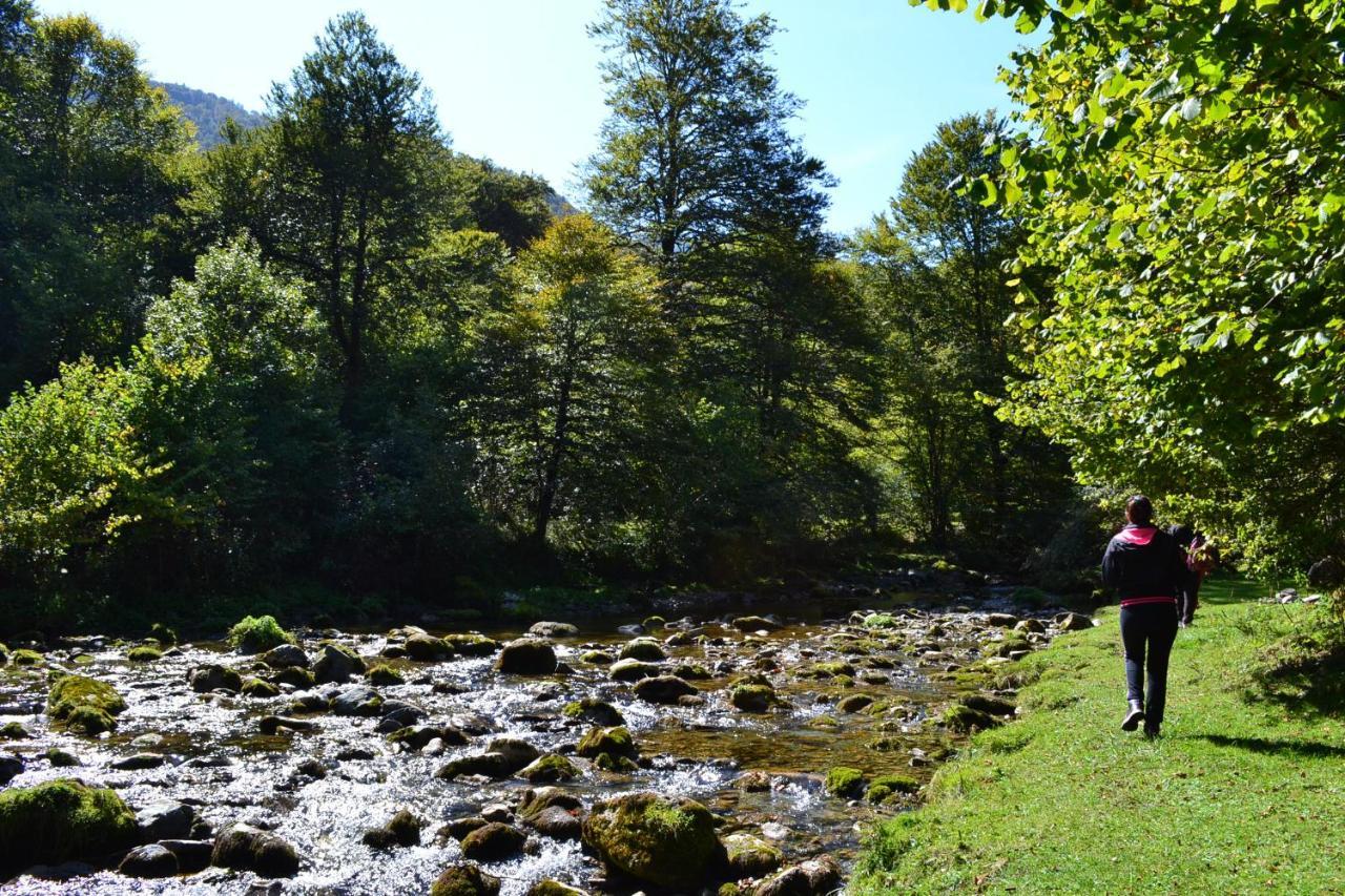 Gites Communaux A Lourdios Exteriér fotografie
