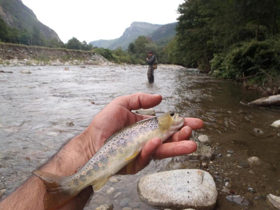 Gites Communaux A Lourdios Exteriér fotografie